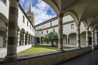 Courtyard with fig tree