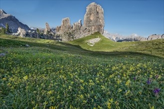 Cinque Torri with blue sky and a meadow of yellow flowers in the foreground