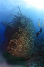 Freediver diving the Gianis D wreck