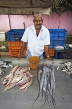 Fish monger at his market stall