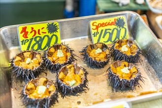 Sea urchins for sale and raw consumption at a market
