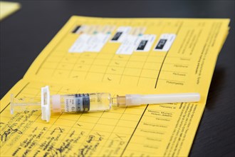 Vaccination certificate with syringe
