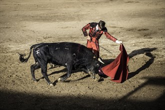 Bullfighter performing a ""Veronica""