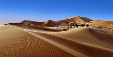 Camel rides on the Sahara sand dunes of Erg Chebbi
