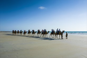 Tourists riding on camels on Cable Beach
