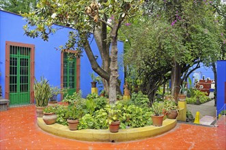 Frida Kahlo Museum