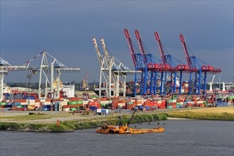 Gantry cranes for container terminal Tollerort