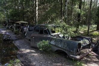 Auto graveyard in the forest