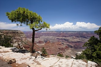 View from the South Rim of Grand Canyon