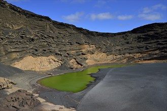Green lagoon