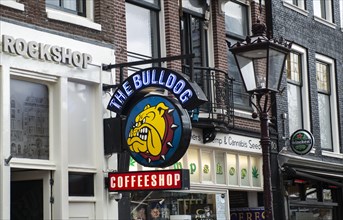 Sign of the Coffeshop The Bulldog