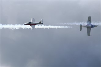 The Canadian Forces Snowbirds aerobatic team