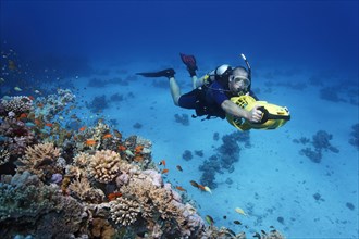 Diver with a diver propulsion vehicle exploring a coral reef