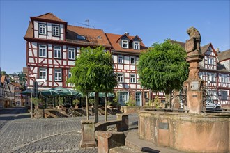 Half-timbered houses and market fountain