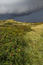 Dramatic storm clouds over dunes
