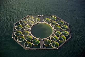Stechlin Cisco fish farming