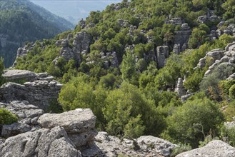 Rocky landscape in Koprulu Canyon National Park