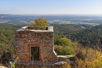 Burgruine Landsee castle ruins