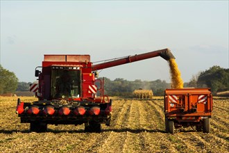 Combine harvester in action on the field
