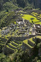 Ruined city of the Incas