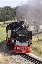 Rugensche Baderbahn or Rasender Roland narrow gauge railway