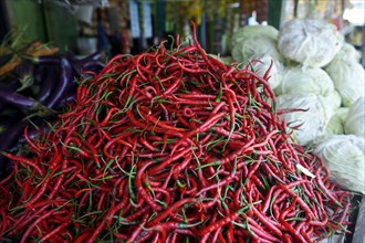 Chili peppers (Capsicum) on the market