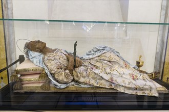 The mortal remains of the saint Santa Columba