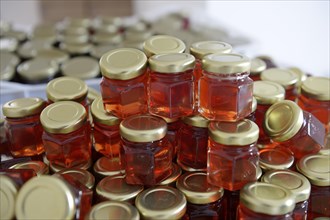 Jam made of Umbu fruits in jars