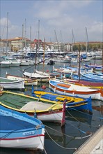 Traditional fishing boats in the marina