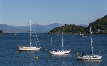Sailboats in the port of Oban