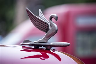 Hood ornament of an old American road cruiser