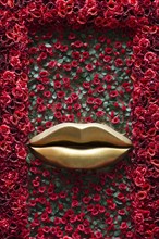 Window with rose petals and golden mouth