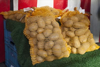 Bags of potato (Solanum tuberosum)