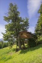 A tree house of the Terra Luna Lodge
