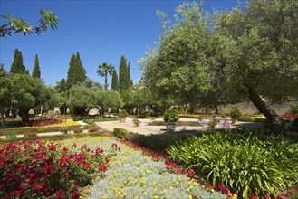 Gardens in the Alcazar de Jerez