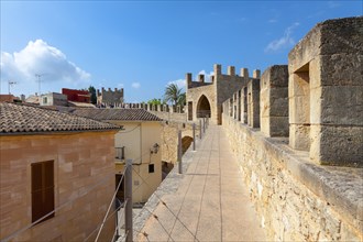 On the city walls of Alcudia