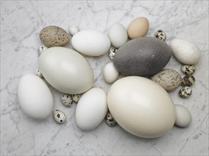 Various eggs on marble