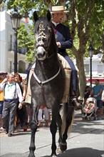 Man on horse