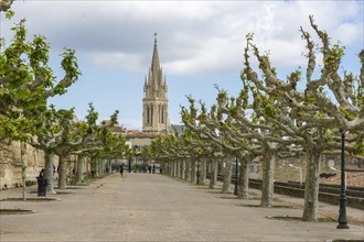 Avenue of plane trees on Place Royale du Peyrou and Carre Sainte-Anne church