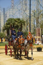 Coach at the Feria del Caballo