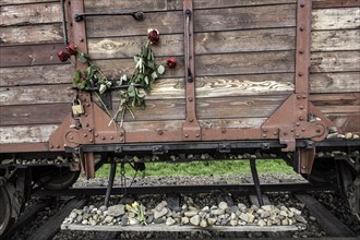 Carriage with roses