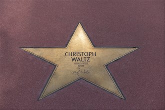 Star of Christoph Walz