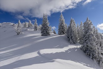 Winter landscape at Kasberg