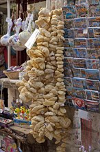 Souvenir shop sells sponges