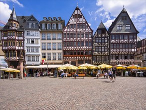 Half-timbered houses