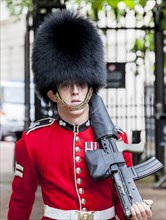 Guard of the Royal Guard with bearskin hat and gun during the changing of the guard