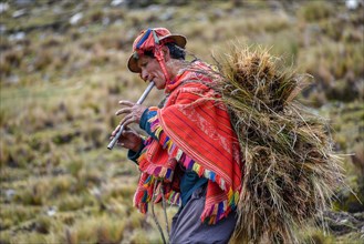 Indio man with hat and colorful poncho wearing bundles of grass and playing flute