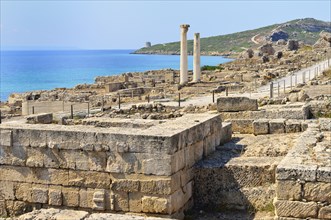 Excavations of the ancient city Tharros