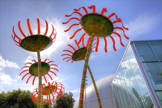 Glass flowers at Seattle Center