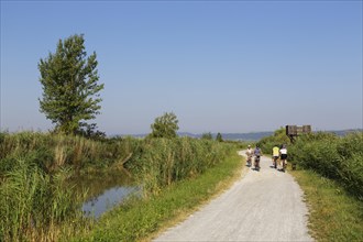 Cyclists at the canal in Purbach am Neusiedler See